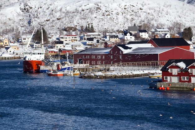 Schöne Landschaft und ein Schwarm Möwen im Vordergrund. Reiseführer für Reine auf den norwegischen Lofoten. Norwegen