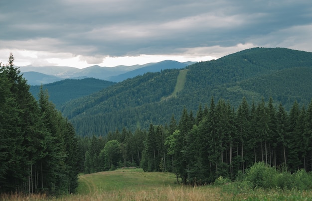 Schöne Landschaft von Bergen und Nadelwald bei bewölktem Wetter