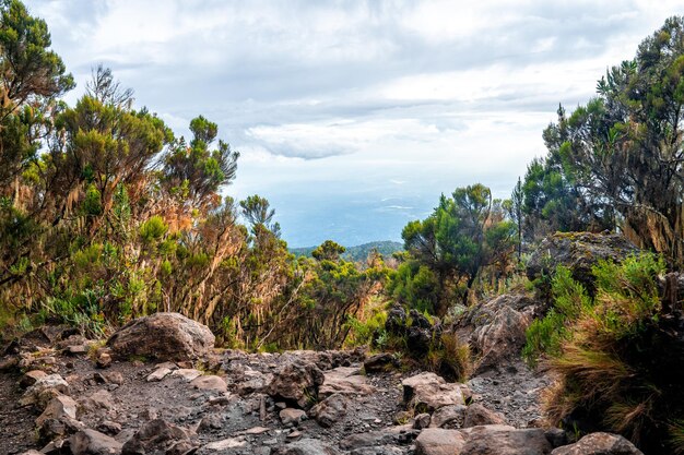 Foto schöne landschaft von tansania und kenia vom kilimanjaro-berg. felsen, büsche und leeres vulkanisches gelände rund um den kilimanjaro-vulkan.