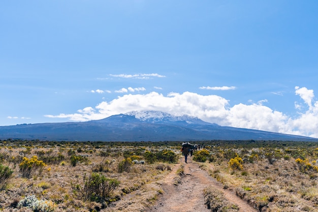 Schöne Landschaft von Tansania und Kenia vom Kilimanjaro-Berg. Felsen, Büsche und leeres vulkanisches Gelände rund um den Kilimanjaro-Vulkan.