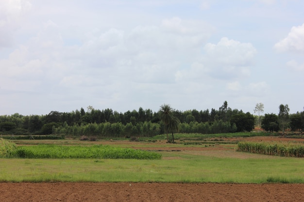 Foto schöne landschaft