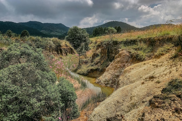 Schöne Landschaft