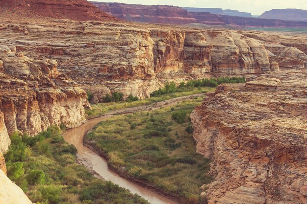 Schöne Landschaften der amerikanischen Wüste