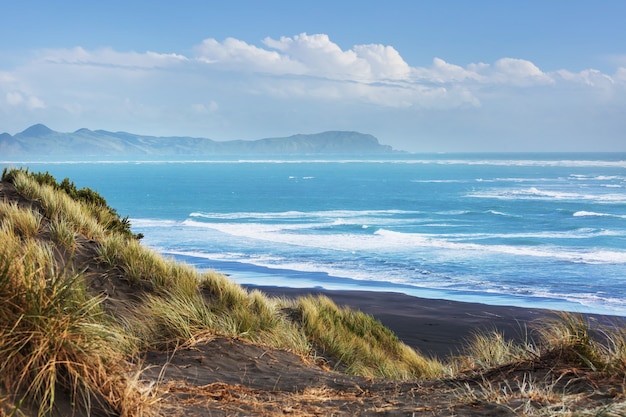 Schöne Landschaften es der Ocean Beach, Neuseeland.
