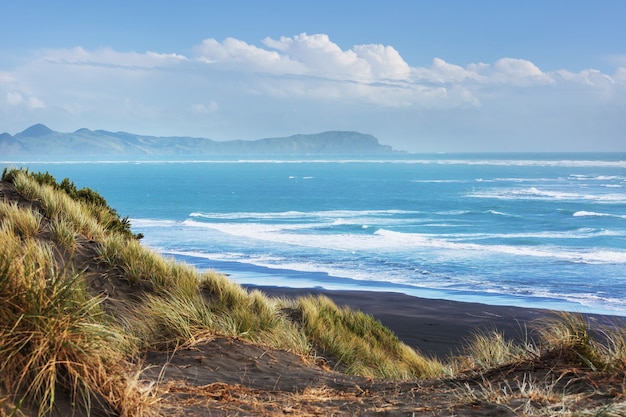 Foto schöne landschaften es der ocean beach, neuseeland.