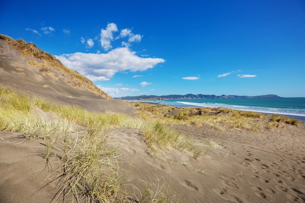 Foto schöne landschaften es der ocean beach, neuseeland.