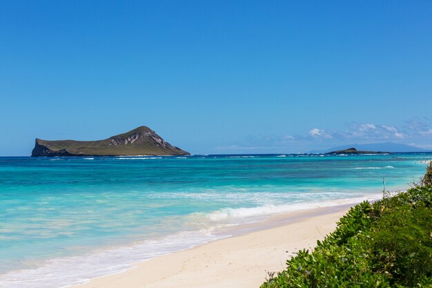 Schöne Landschaften in Oahu Island, Hawaii