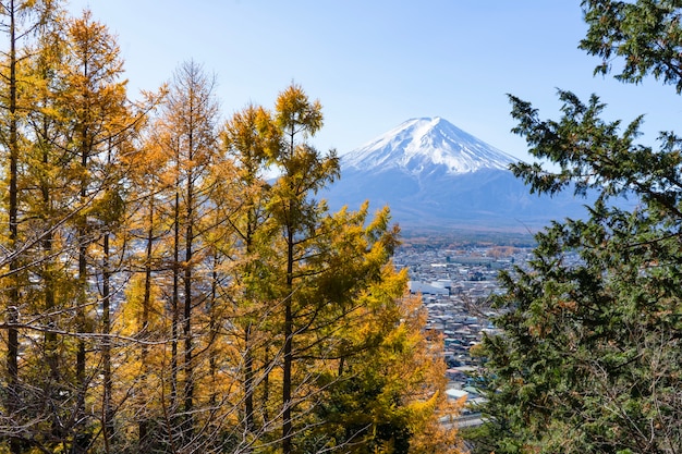 Schöne Landschaftsansicht des berühmten Wahrzeichens von MtFuji in Japan im Herbst