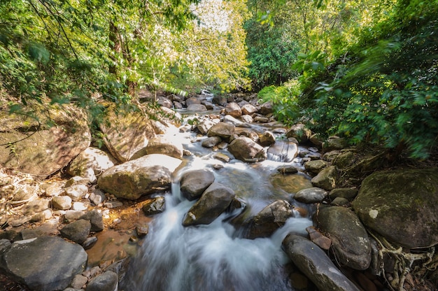 Schöne Landschaftsansicht im tiefen Wald im Namtok Phlio Nationalpark Chanthaburi Thailand.