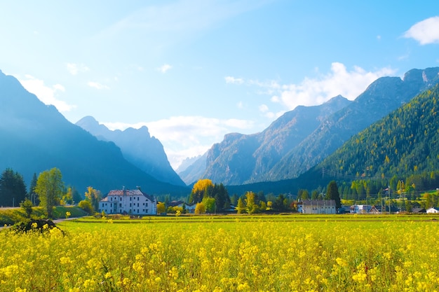 Schöne Landschaftsansicht mit Blume von Belluno Norditalien.