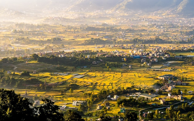 schöne Landschaftsansicht von Reisfeldern in Kathmandu Nepal