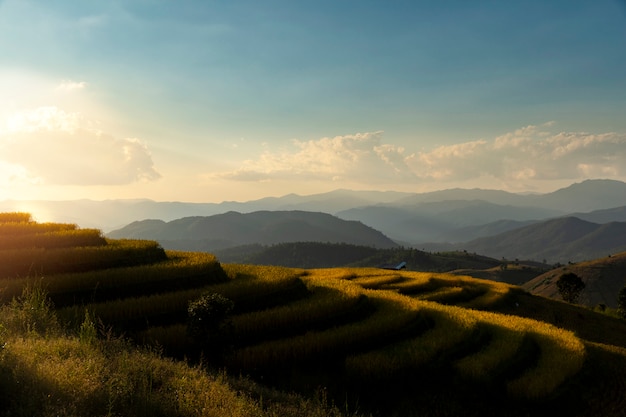 Schöne Landschaftsansicht von Reisterrassen in Chiang Mai, Thailand.