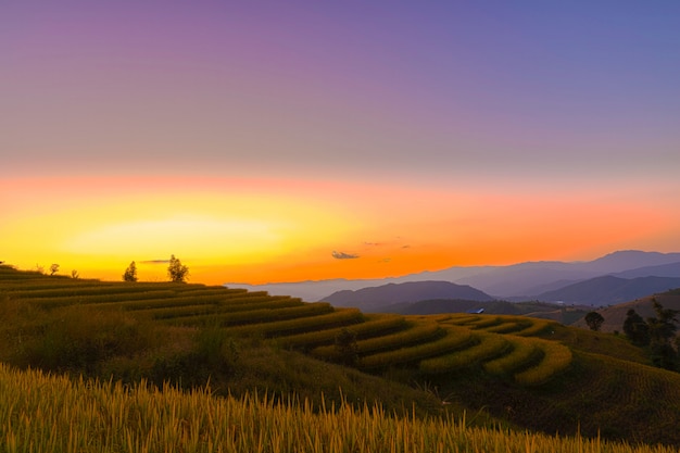 Schöne landschaftsansicht von reisterrassen in chiang mai, thailand.