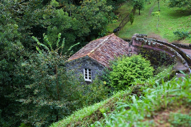 Schöne Landschaftslandschaften in Azoren Portugal Tropische Natur in Sao Miguel Island Azoren