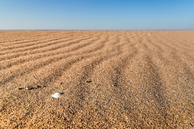 Schöne leere Sandwellenstrandbeschaffenheit.