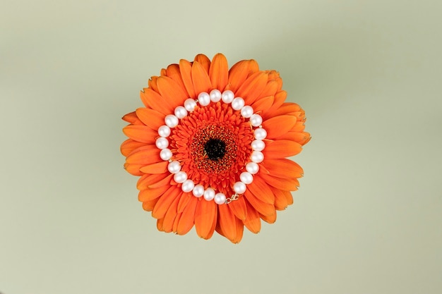 Schöne leuchtend orangefarbene Gerbera-Blume mit Perlen