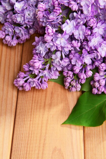 Schöne lila Blumen auf hölzernem Hintergrund