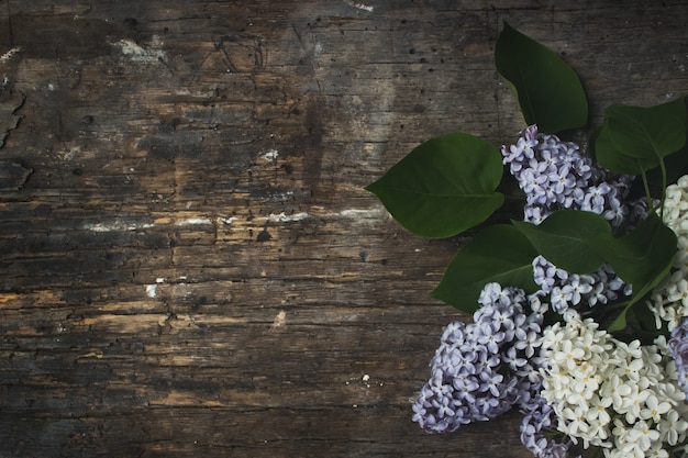 Schöne lila Blumen auf rustikaler hölzerner Hintergrundoberseite vi Raum, Konzept.