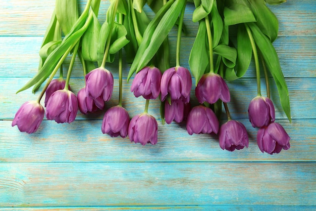 Schöne lila Tulpen auf farbigem Holzhintergrund