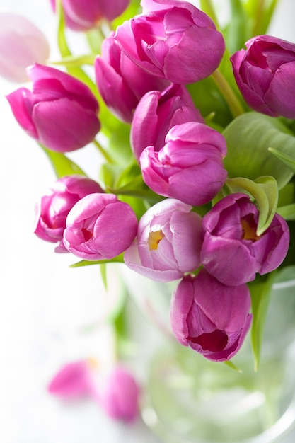 Schöne lila Tulpenblumen in der Vase