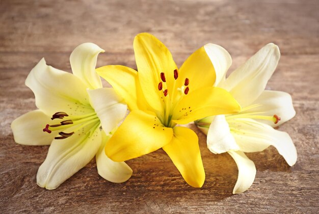 Schöne Lilien auf hölzernem Hintergrund