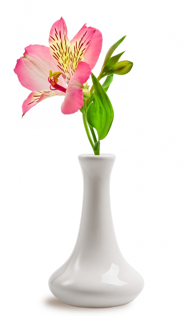 Foto schöne lilienblume im vase