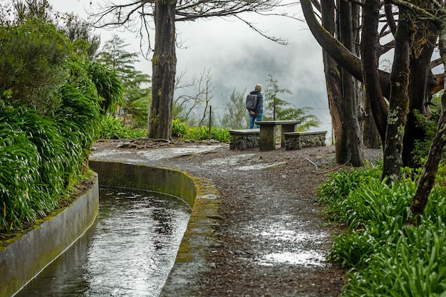 Schöne Madeira-Landschaft