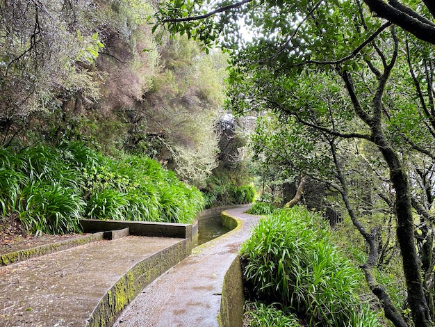 Schöne Madeira-Landschaft