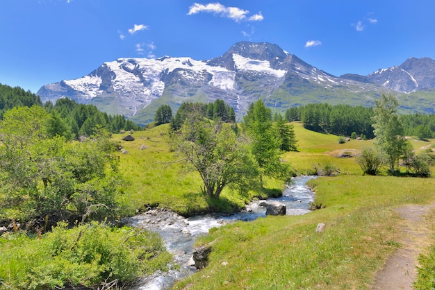 Schöne malerische Landschaft im Alpenberg mit Gletscher und Grünwiese mit einem kleinen Fluss