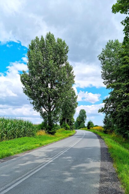 Schöne malerische Landstraße an einem sonnigen Sommertag