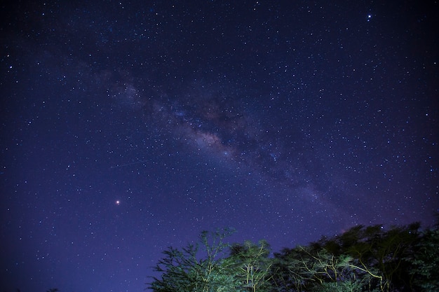 Schöne Milchstraße in der Nacht auf dem Campingplatz Naivasha. Kenia