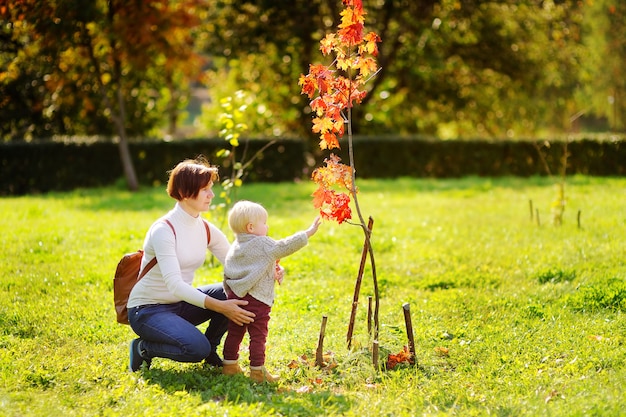 Schöne mittlere Greisin und ihr entzückender kleiner Enkel, die schönen Herbstbaum betrachtet