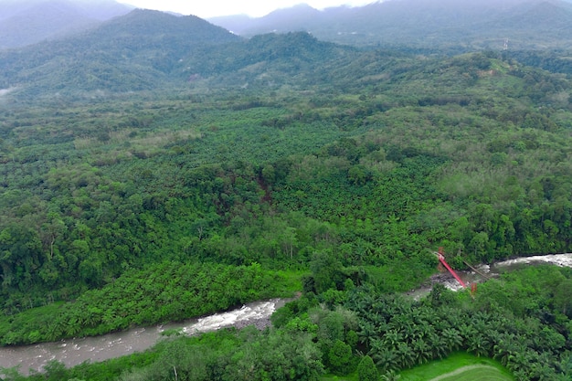 Schöne Morgenansicht Indonesien Panorama-Landschaftsreisfelder mit Schönheitsfarbe und -himmel natürliches l