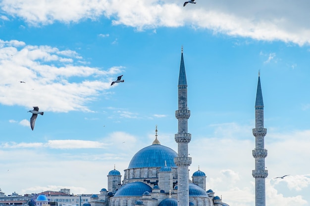 Schöne Moschee in Istanbul, umgeben von Möwen