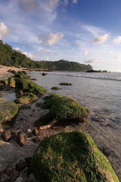 Schöne Nachmittagslandschaft am Wediombo-Strand Wediombo-Strand gelegen in Gunung Kidul Yogyakarta Indonesien