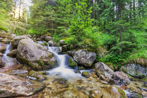 Schöne Nahaufnahme Ökologie Naturlandschaft Bergbach. Abstrakte Langzeitbelichtung Waldbach