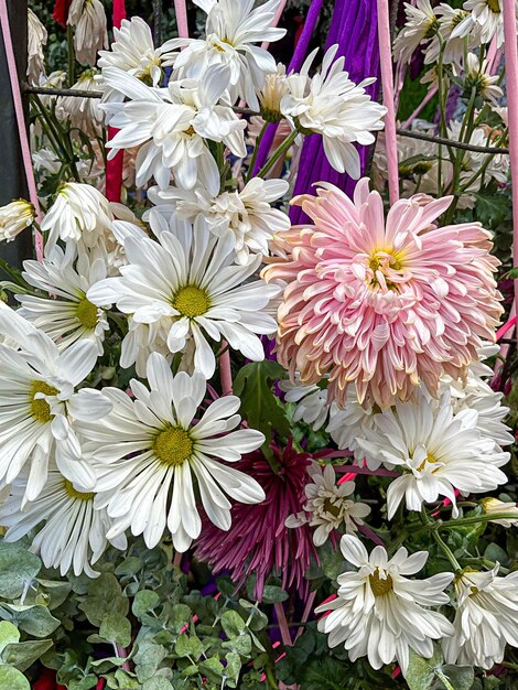 Schöne natürliche Blumen im Garten