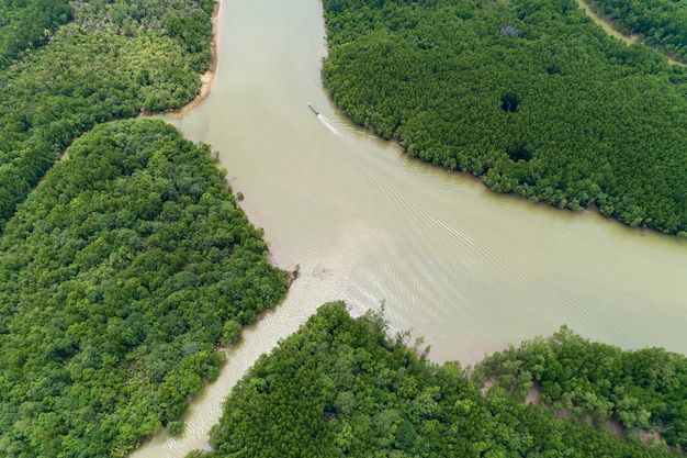 Schöne natürliche Landschaft der Landschaftsansicht in tropische Mangrovenwaldvogelperspektive Asiens