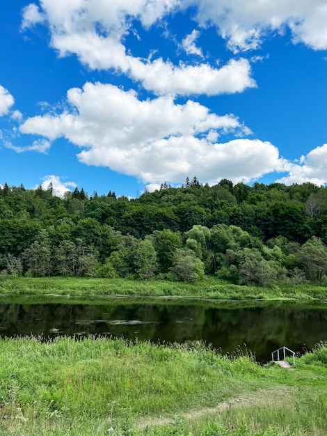 Schöne natürliche Landschaft des Flusses in der Region Moskau Russland Sommerlandschaft