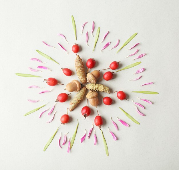 Schöne natürliche Mandala auf hellem Hintergrund