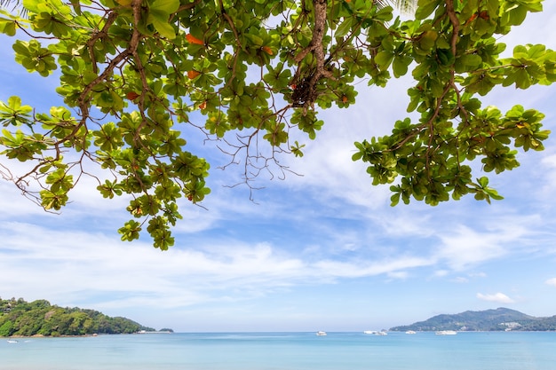 Schöne Natur der Andamanensee und des weißen Sandstrandes am Morgen am Patong Beach, Phuket Island, Thailand.