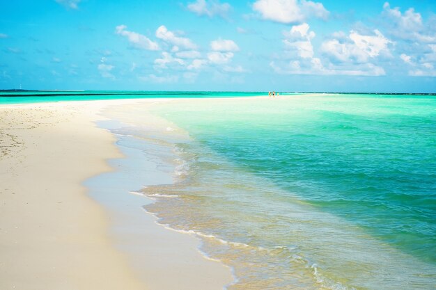 Schöne Natur der maledivischen Insel Lhaviyani Sandgeflecht auf dem Atoll