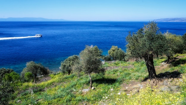 Schöne Natur des heiligen Athos-Berges