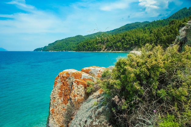 Schöne Natur durch das Meer auf Natur im Parkhintergrund