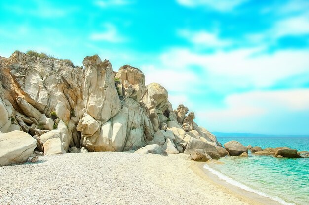 Schöne Natur durch das Meer auf Natur im Parkhintergrund