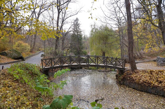 Schöne Natur Herbstlandschaft mit kleiner Brücke Landschaft Blick auf Herbst Stadtpark mit goldenen