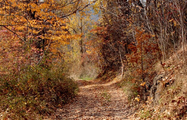 Schöne Natur im Herbst