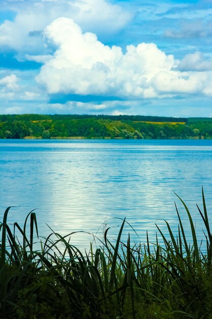 Schöne Natur in der Nähe des Flusses mit Himmelshintergrund