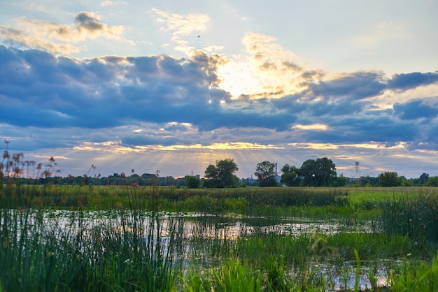 Schöne Natur, Sumpfteich im Dickicht der Pflanzen, dramatischer Himmel in Wolken mit der Sonne.