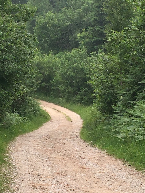 Foto schöne natur